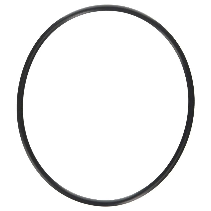 ORING D.VALVULA P/FILTRO HAYWARD PRO S30